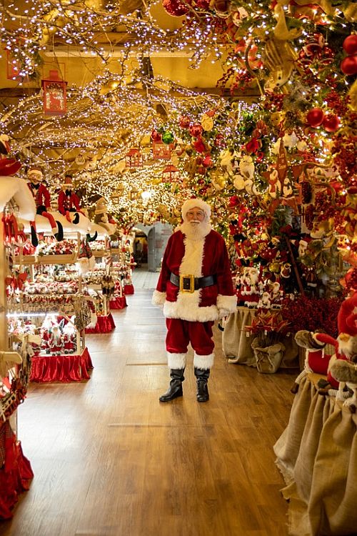 Per Tutto Il Mondo E Natale.Il Villaggio Di Babbo Natale Mondo Verde Garden 2020 Reggio Emilia Foto Date Orari Come Arrivare