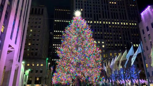 Albero Di Natale New York.Mercatini Di Natale A New York 2020 Foto Date Orari Eventi Offerte Hotel Viaggi